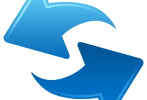 icon 2 300x204 1
