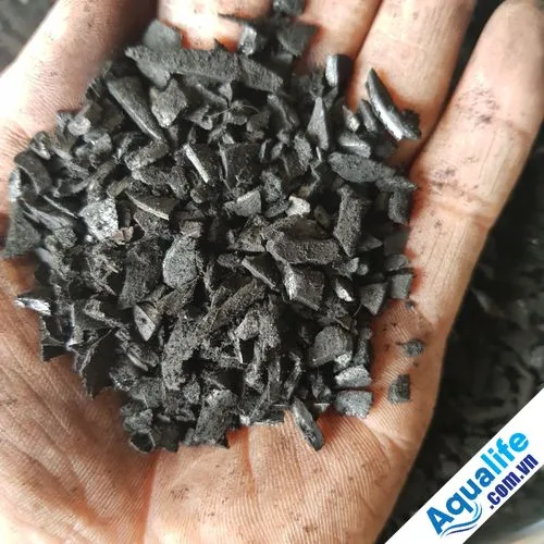 Than gáo dừa Việt Nam 11 than gáo dừa hoạt tính