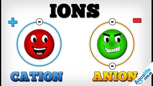 Hiểu chính xác anion là gì?