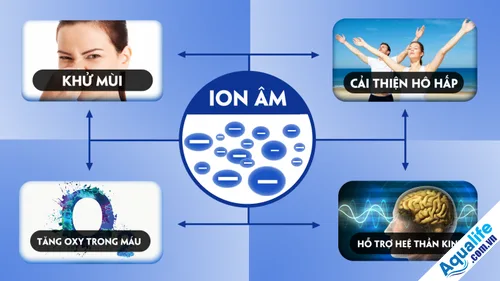 Vai trò của anion là gì