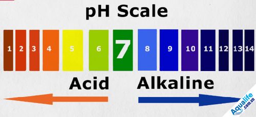 Độ pH và ví dụ về độ pH