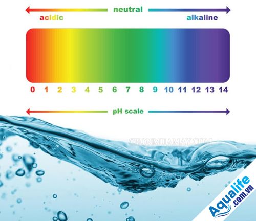 Độ pH trong nước và tác động của chúng