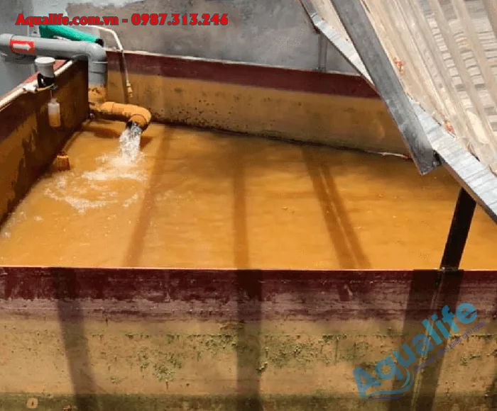 Lắp đặt thiết bị lọc nước giếng khoan nhiễm phèn tại Bình Thuận 4 xu ly loc nuoc gieng khoan nhiem phen tai binh thuan 3