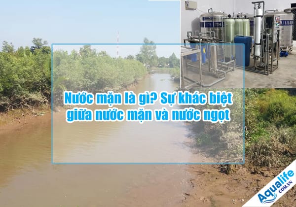 su khac biet giua nuoc man va nuoc ngot