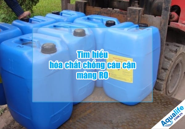 tim hieu hoa chat chong cau can mang ro