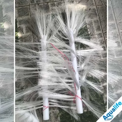 Bộ chổi máy rửa bình 20 lít trong dây chuyền sản xuất nước uống - Ảnh 3