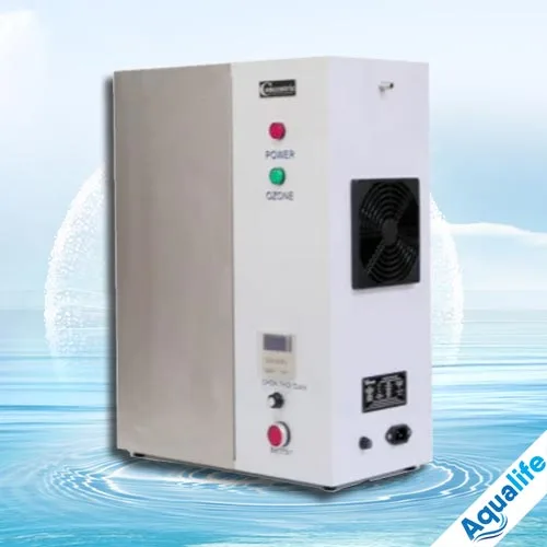 Máy ozone công nghiệp 2G/h S2 CONCENTRIC - Ảnh 3