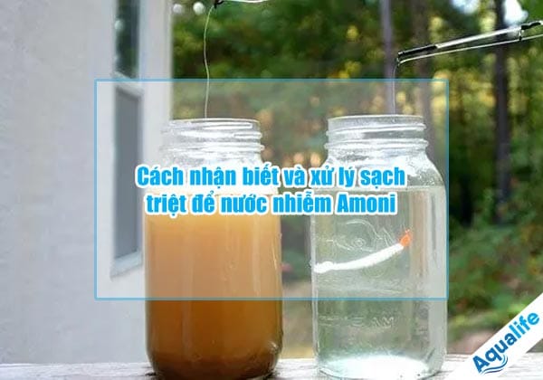 cach nhan biet va xu ly sach triet de nuoc nhiem amoni
