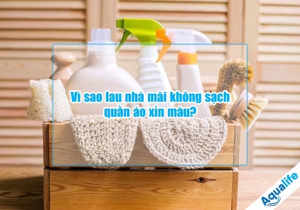 vi sao lau nha mai khong sach quan ao xin mau