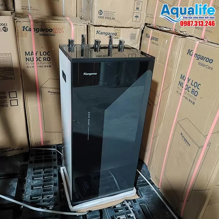 Máy lọc nước 2 vòi nóng lạnh nguội Kangaroo KG10A17