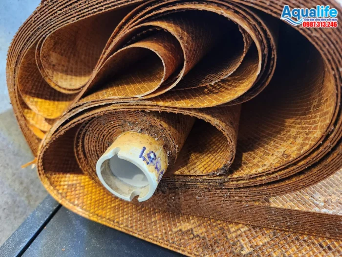 Bóc tách lá màng RO công nghiệp bị tắc nghẽn phủ đầy bùn phèn sắt nước giếng khoan