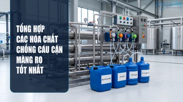 tong hop hoa chat chong cau can mang ro tot nhat
