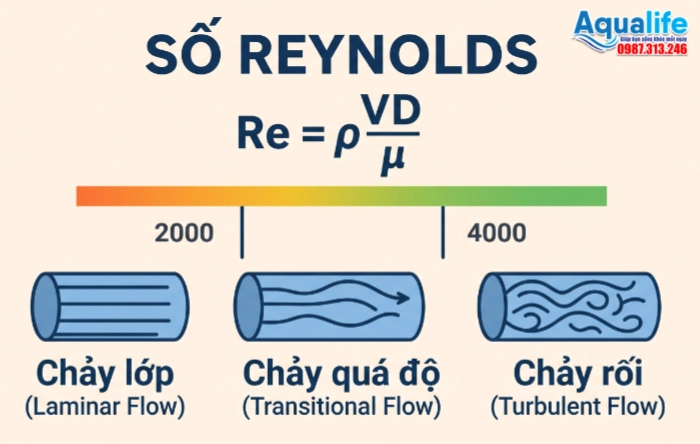 Sơ đồ công thức số Reynolds và 3 trạng thái dòng chảy lớp chảy quá độ chảy rối trong đường ống vi sinh
