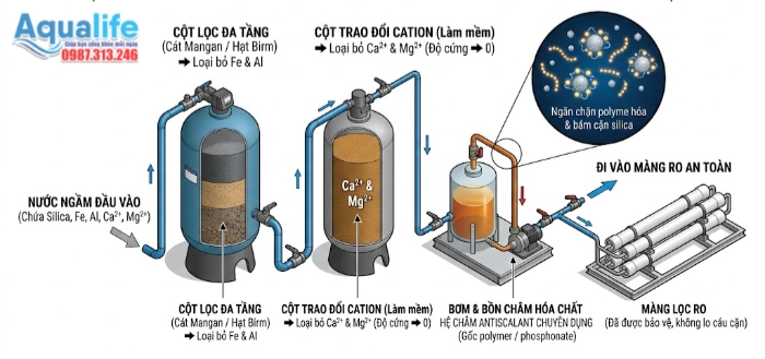 Sơ đồ cụm tiền xử lý khử sắt làm mềm nước và châm hóa chất antiscalant chống cáu cặn silica màng RO
