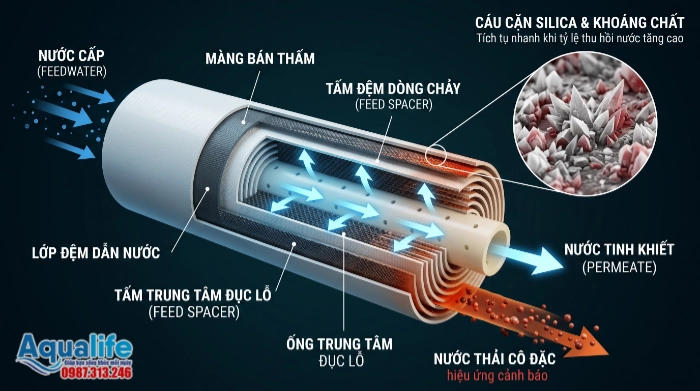 Hình ảnh mổ xẻ màng RO cho thấy lớp cặn silica cứng nhám bám chặt trên bề mặt tấm màng và lưới dẫn dòng feed spacer