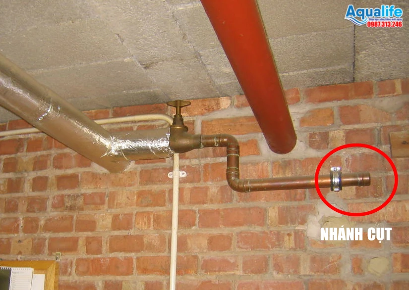 Mô phỏng dòng chảy tù đọng tại nhánh cụt dead-end so với dòng tuần hoàn liên tục trong vòng loop