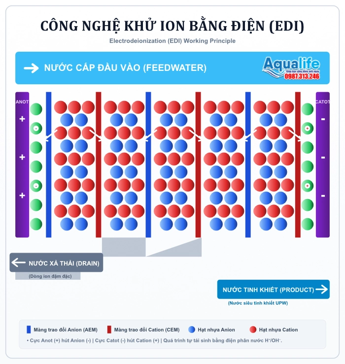 Tích Hợp Công Nghệ EDI Vào Hệ Thống Nước Tinh Khiết 1 Sơ đồ nguyên lý khử ion bằng điện EDI tách ion qua màng AEM và CEM