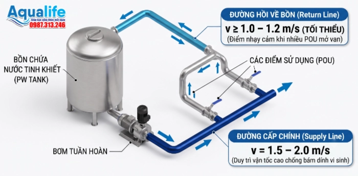Sơ đồ 3D thông số vận tốc khuyến nghị trên đường cấp chính v = 1.5 – 2.0 m/s và đường hồi về bồn v >= 1.0 – 1.2 m/s trong hệ thống nước tinh khiết PW Loop