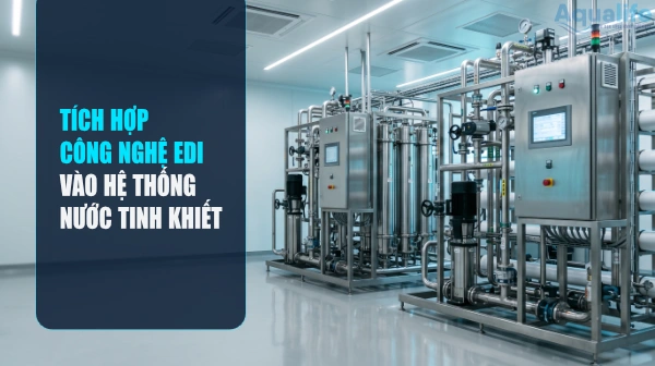 tich hop edi vao he thong loc nuoc tinh khiet cover
